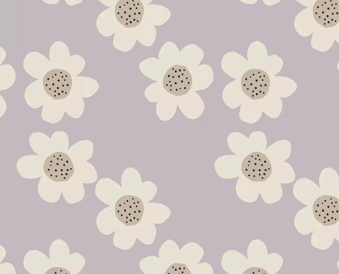 Lilac Daisy