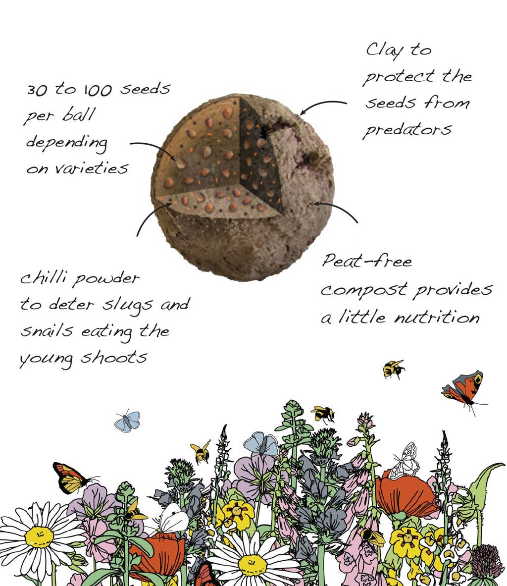 Seedball Wildflower Grab Bags - Wildlife Mix
