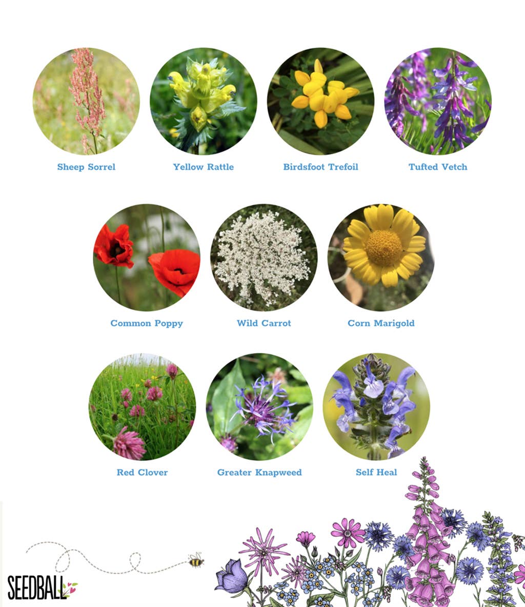 Seedball Wildflower Grab Bags - Wildlife Mix