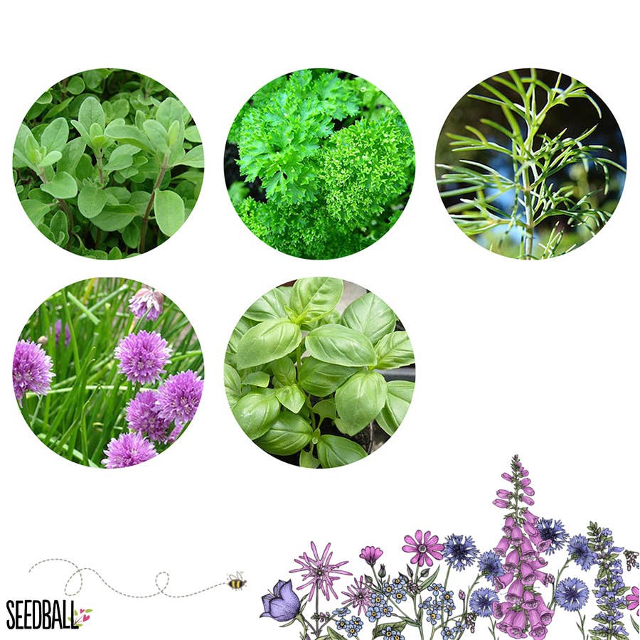 Herb Mix Seedball Tin