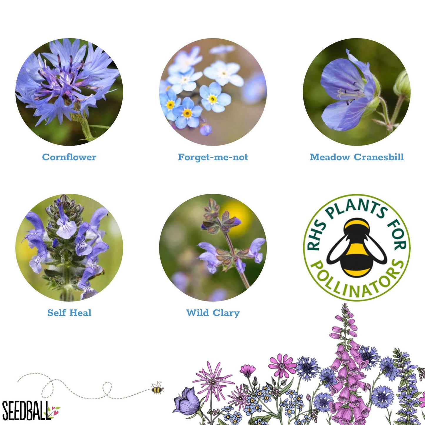 Sky Meadow Seedball Tin