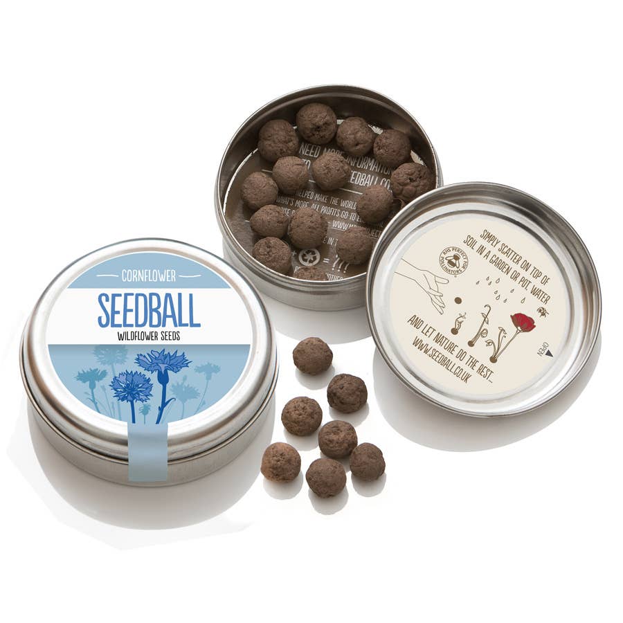 Cornflower Seedball Tin