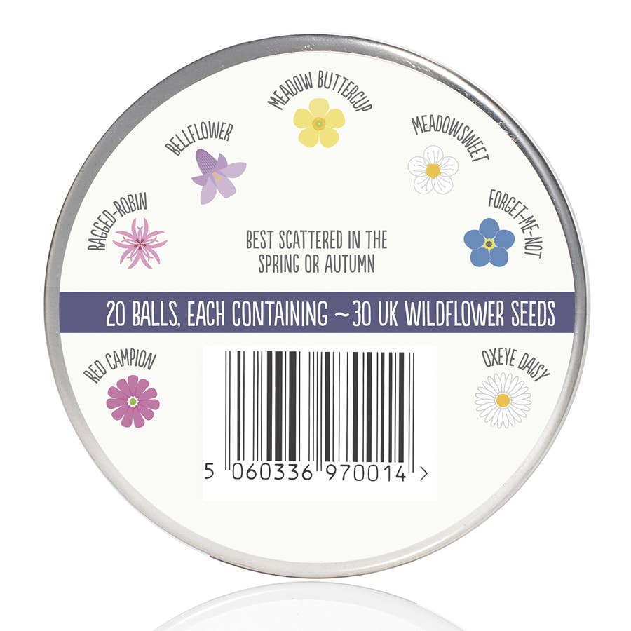 Wonderland Seedball Christmas Festive Tin