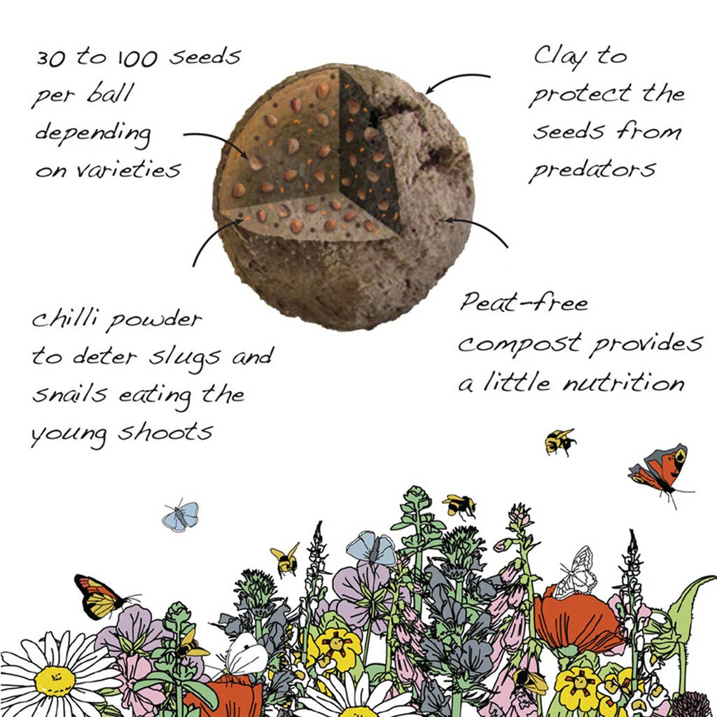 Cloud Meadow Seedball Tin