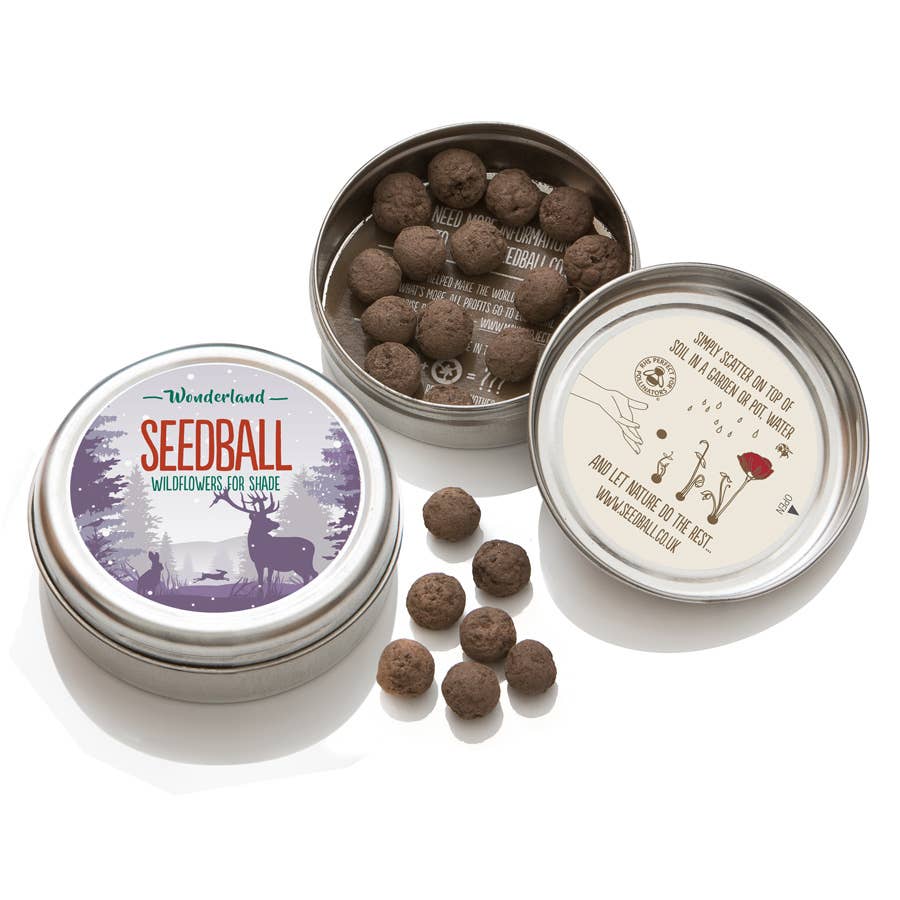 Wonderland Seedball Christmas Festive Tin