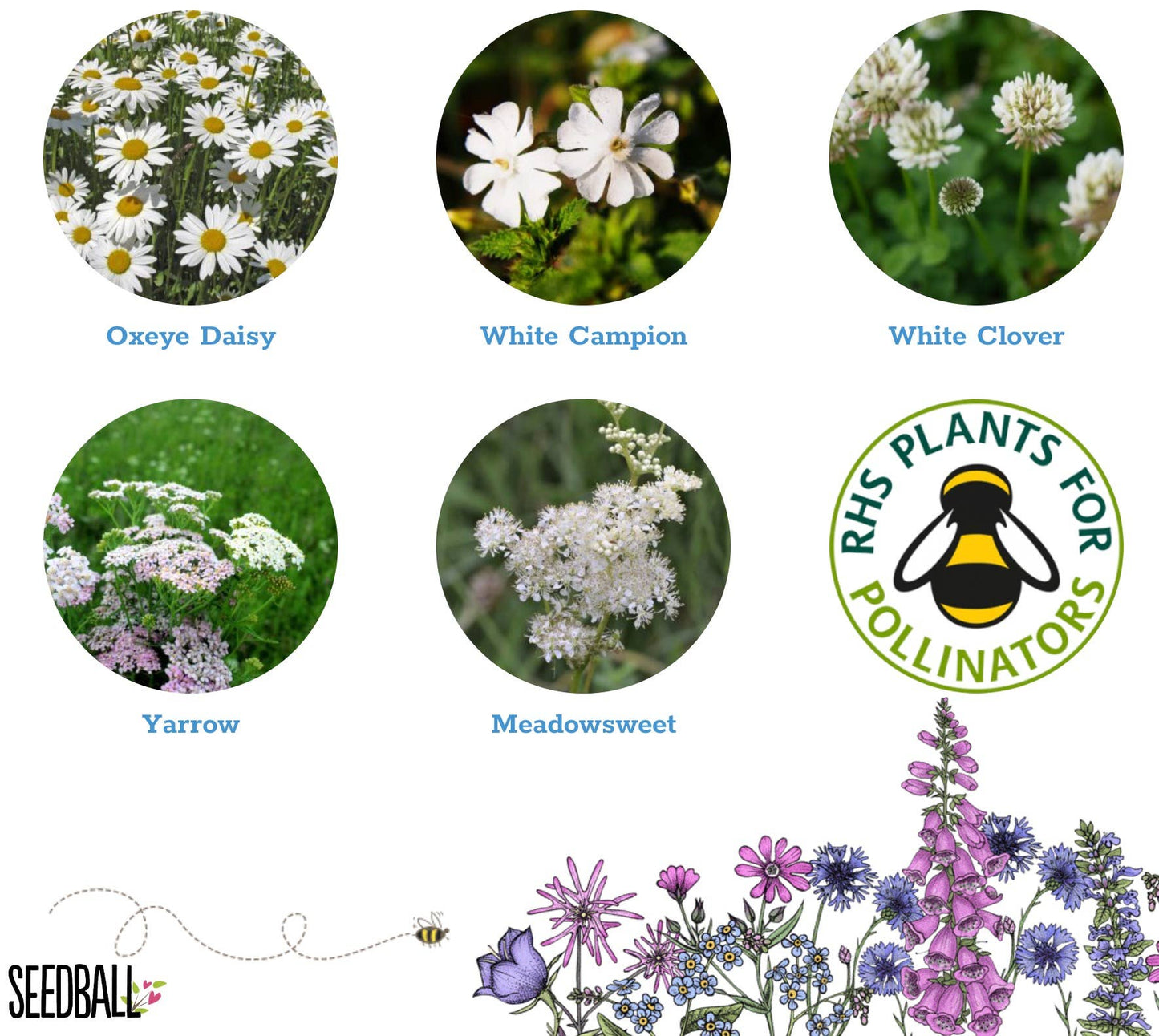 Cloud Meadow Seedball Tin