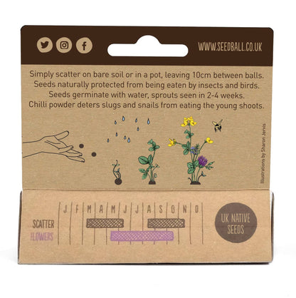Mixed Seedball Pack