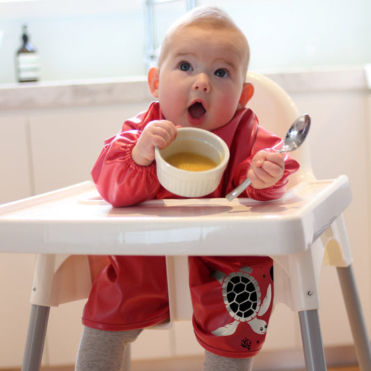 Little Chomps Starter Smock 0-8+ months