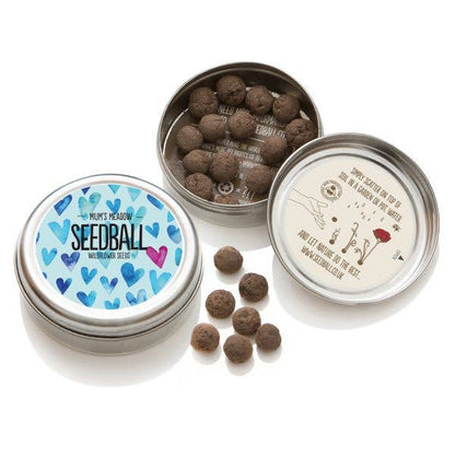 Mum's Meadow Seedball Tin