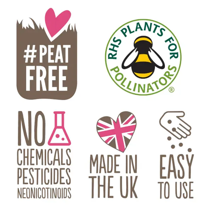 Mini Seedball Tins #Savethebees: Cloud (light blue)